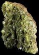 Lustrous, Epidote Crystal Cluster - Morocco #49415-1